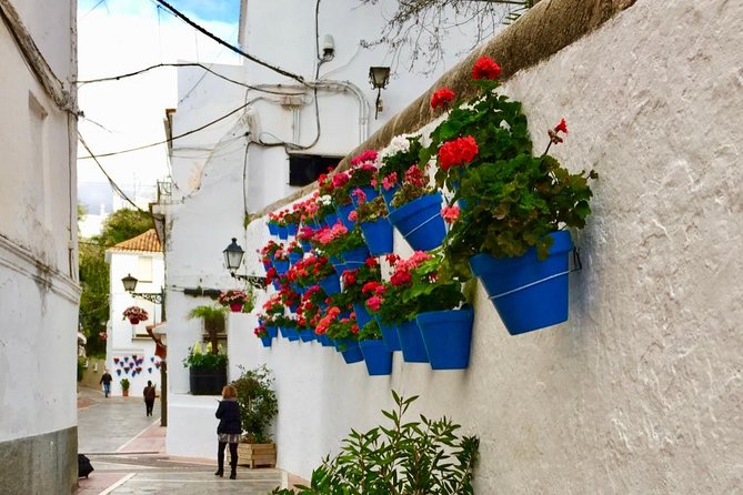 Marbella Old Town: Group Tour with a True Local - Ending in Plaza de los Naranjos