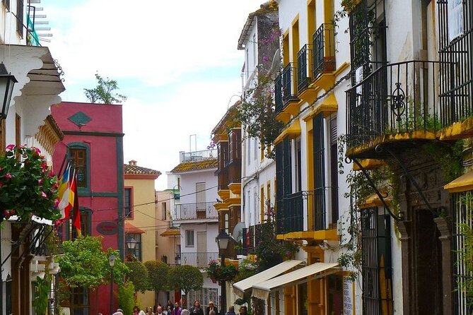 Marbella Old Town Walking Tour - Group size, timing, and the value of the price
