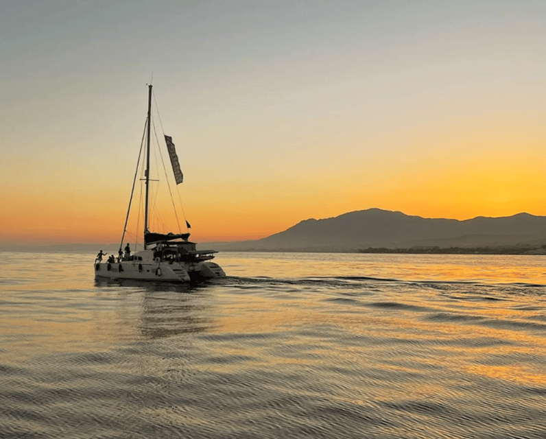 Marbella: Private Cruise in Catamaran - Searching for dolphins along the coast