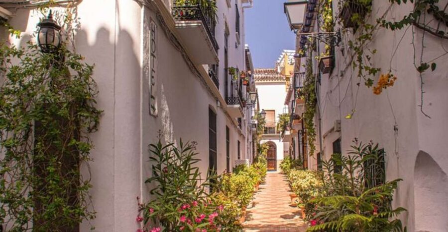 Marbella: Private Customizable Walking Tour with Guide - A first look at Marbella with your own guide