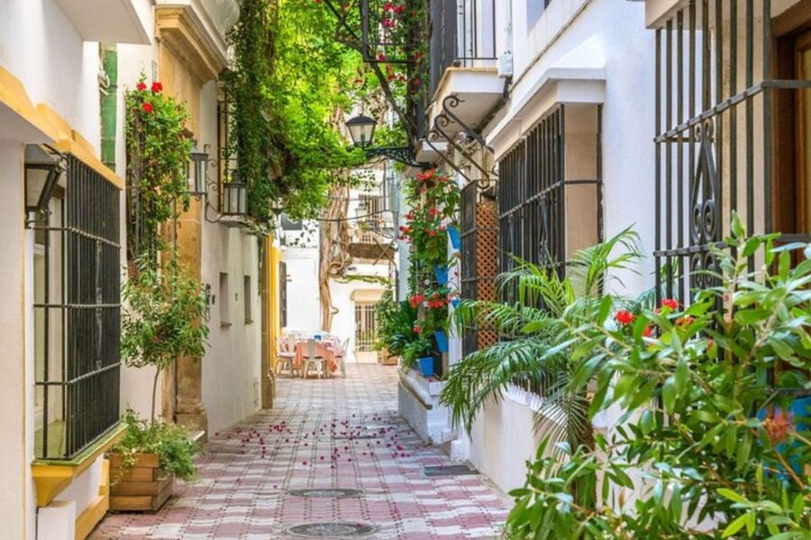 Marbella: Private Customizable Walking Tour with Guide - How to use the two hours well