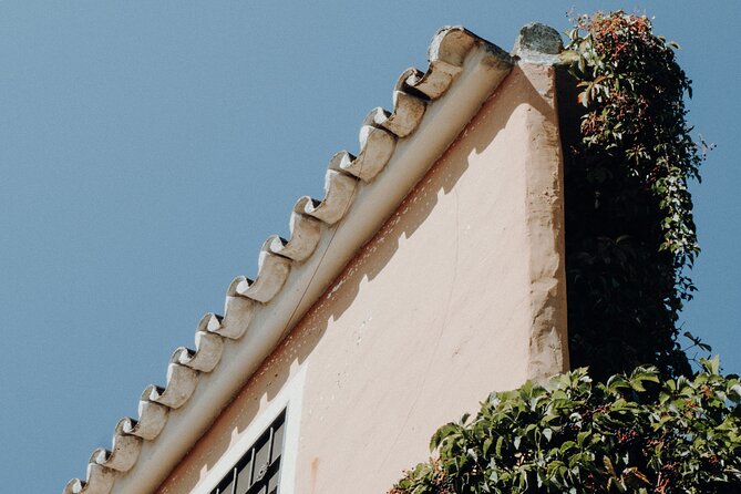 Marbella Private Walking Tour with a Local - What the mixed feedback means for your decision
