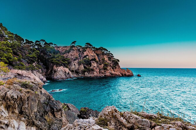 Marbella Private Walking Tour with a Local - Choosing between two and six hours