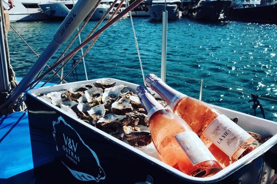 Marbella: Puerto Banús Private Sailing Cruise with Drinks - Sailing, Swimming, and the Chance of Dolphins