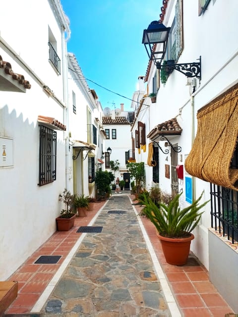 Marbella: Sightseeing Walking Tour - Dalí’s statues along the route