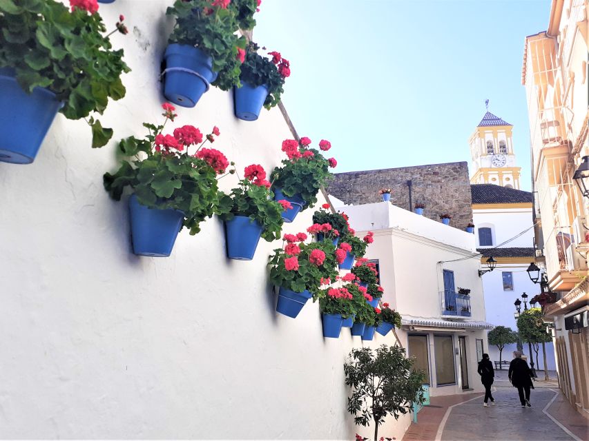 Marbella: Sightseeing Walking Tour - Is $29 a fair price?