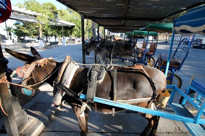 Mijas Private Walking Tour - Mijas Bullring and the town’s local character