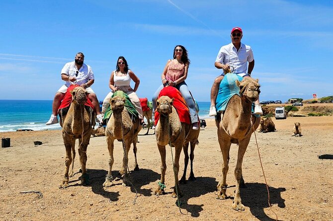 Morocco: Tangier Private Tour from Malaga & Tarifa, All Inclusive - Why this Tangier trip works as a Spain day excursion