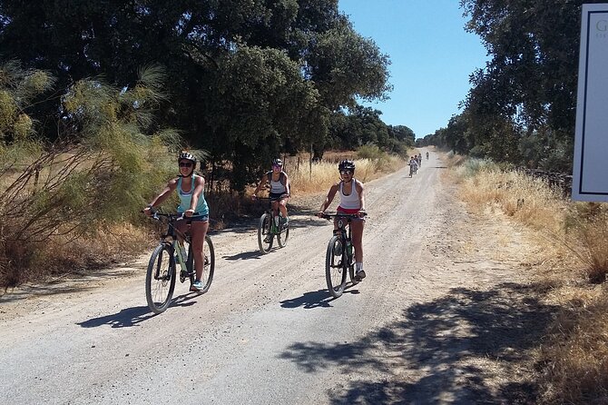 MTB (Self-Guided) Setenil de las Bodegas - 30km Easy - From Ronda station to the Andalusian countryside