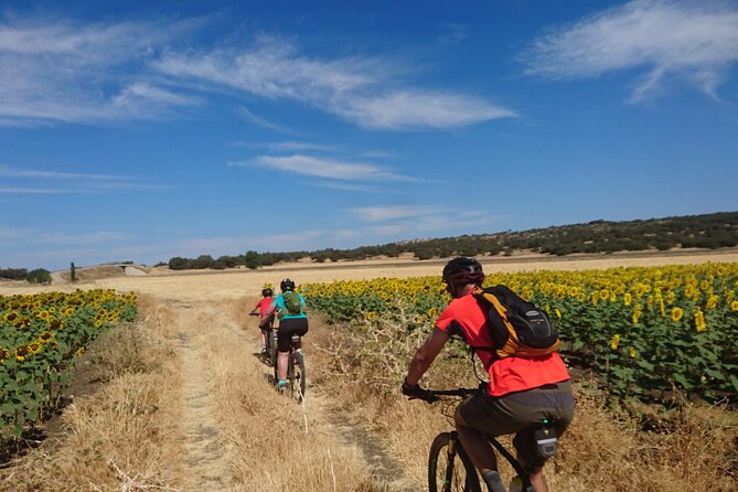MTB (Self-Guided) Setenil de las Bodegas - 30km Easy - The minibus return makes the route practical