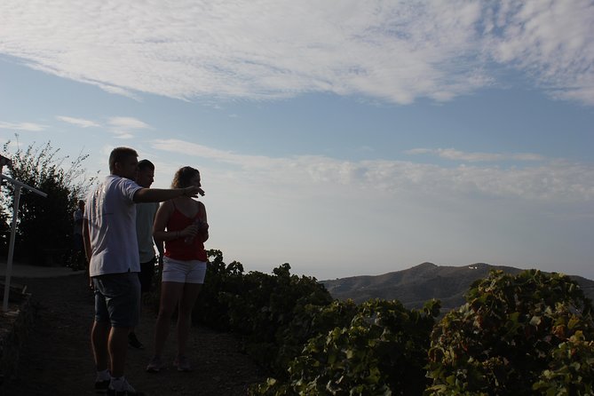 Muscat Raisin Route - Small group with lunch included - Why the Muscatel raisin route is worth your day