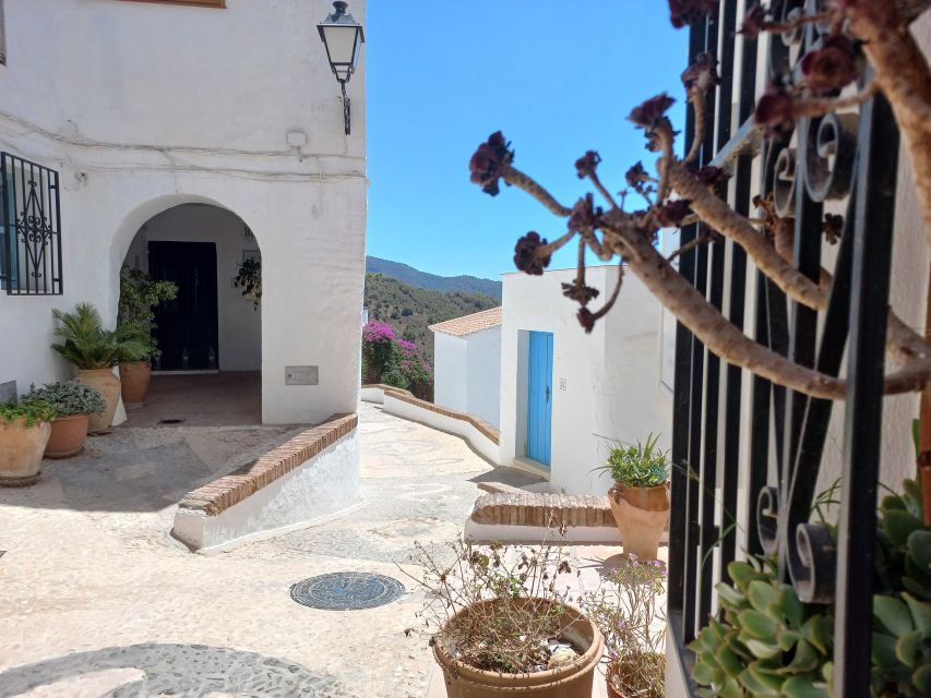 Nerja, Frigiliana & El Acebuchal: Full-Day Semi-Private Tour - Booking details worth knowing