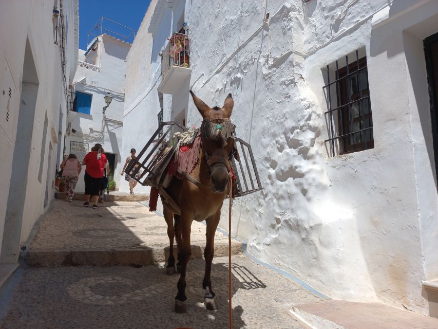 Nerja, Frigiliana & El Acebuchal: Full-Day Semi-Private Tour - What the $106 price really covers