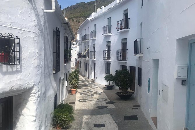 Nerja & Frigiliana Private Day Trip from Malaga or Marbella - Who should book this day trip?