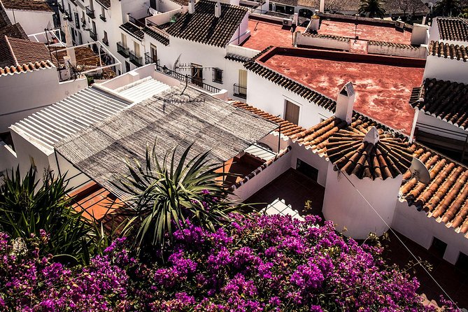 Nerja (Pueblo) + Frigiliana & El Acebuchal - Semi-Private - Why this Malaga day trip works