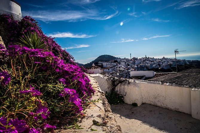 Nerja (Pueblo) + Frigiliana & El Acebuchal - Semi-Private - Is $108.61 a fair price?