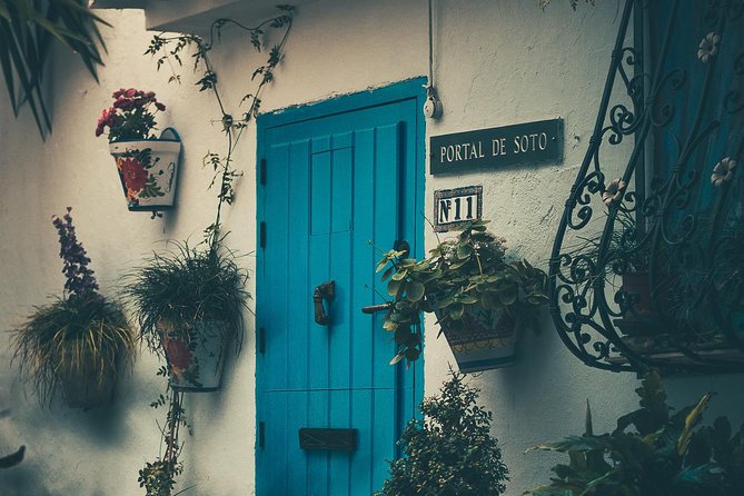 Nerja (Pueblo) + Frigiliana & El Acebuchal - Semi-Private - Who should book this experience?