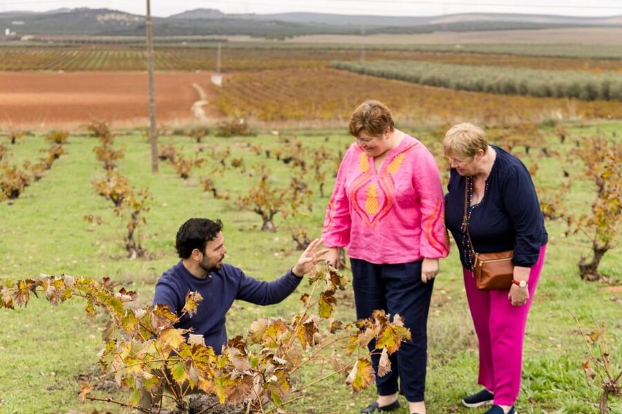 OLIVE OIL & WINE TOUR Organic fields - 5 Wines + 3Olive Oils - From Plaza de la Marina to the Málaga countryside