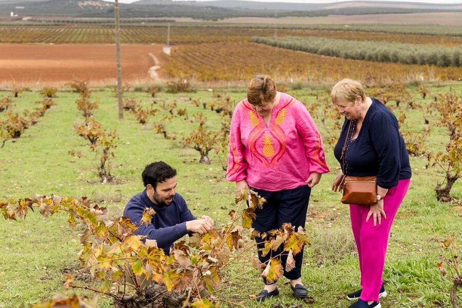OLIVE OIL & WINE TOUR Organic fields - 5 Wines + 3Olive Oils - Who will enjoy this day most?