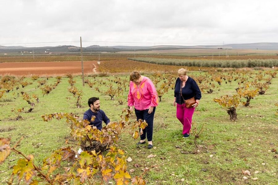 OLIVE OIL & WINE TOUR Organic fields - 5 Wines + 3Olive Oils - Practical timing and what to bring