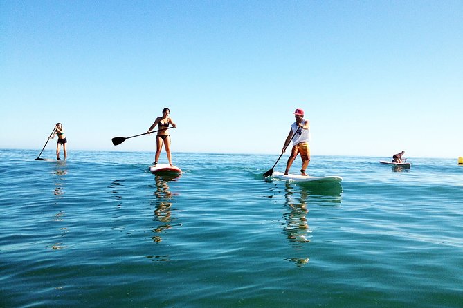 Paddle Boarding Tour on the beautiful Marbella Coast - Starting beside Marbella’s Puerto Deportivo