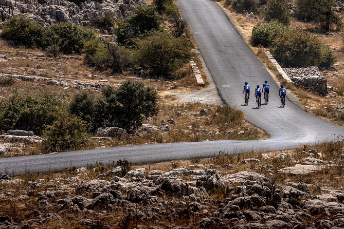 Personalised Road Bike Tour in Malaga - Getting a road bike that fits you