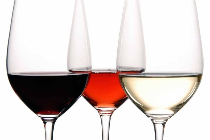 PREMIUM TAPAS TOUR: Tapas, Paella and Winery - What the three-hour format really gives you