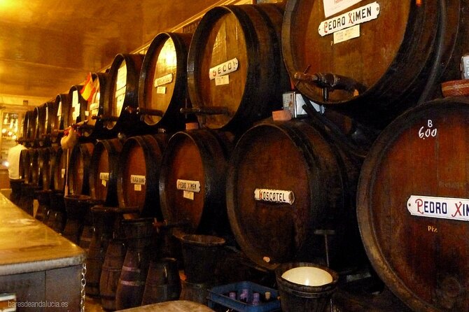 PREMIUM TAPAS TOUR: Tapas, Paella and Winery - Tapas and flamenco at Pasaje de Chinitas