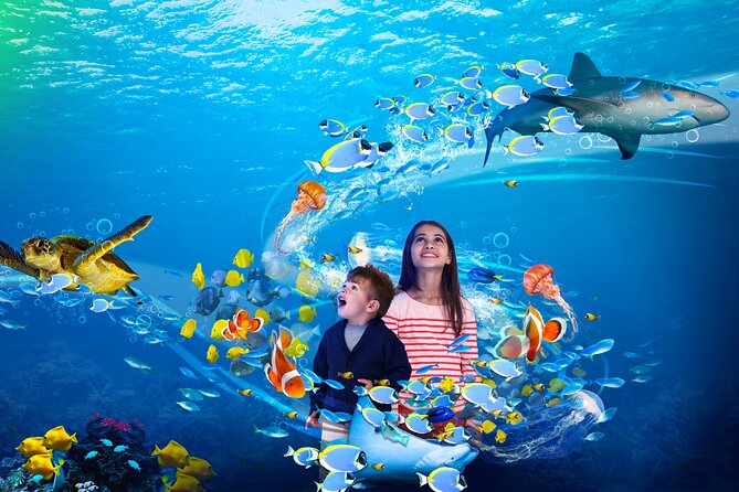 Premium Ticket Sea Life Benalmádena - Timing, queues, and a sensible visit plan