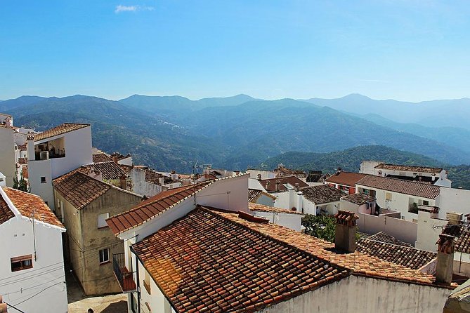 Private 3 hours Walking Tour of Ronda with official tour guide - Plaza de Toros and the traditions of bullfighting