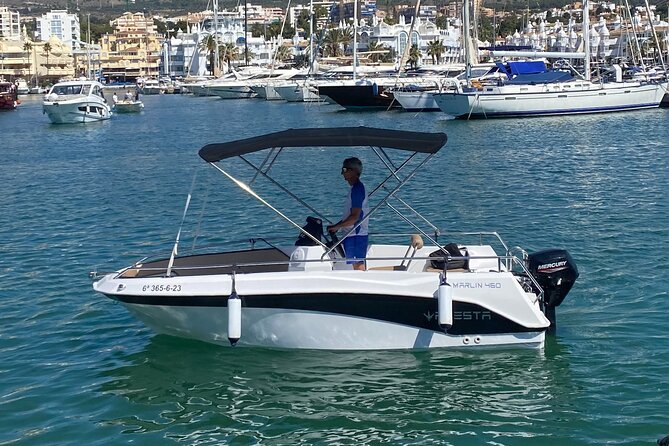 Private boat rental without title dolphin watching - Starting at Puerto Marina in Benalmádena