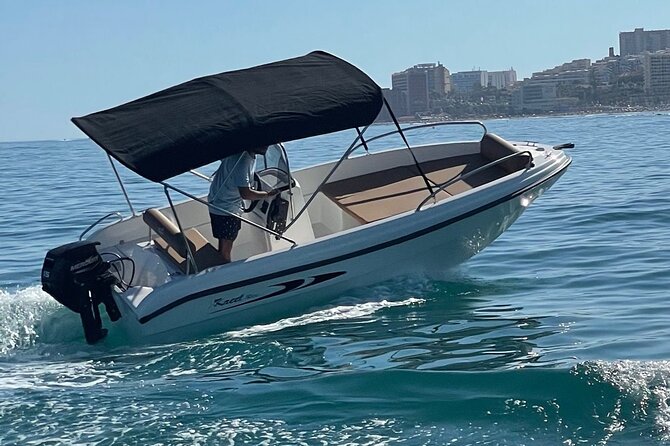 Private boat rental without title dolphin watching - What a License-Free Boat Ride Really Means
