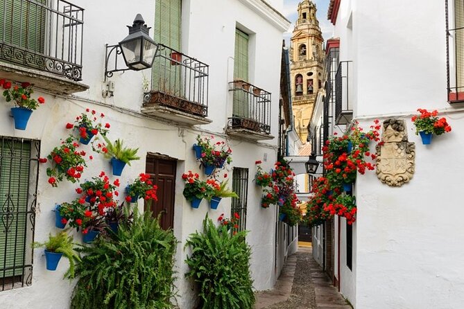 Private Cordoba & Seville Tour with a Finale Horse Carriage Ride - The road to Seville and a three-hour city window
