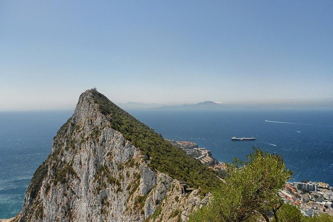 Private Day To Gibraltar from Marbella or Marbella - What the private guide adds
