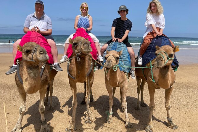 Private Day Tour in Gibraltar and Tangier, Morocco from Malaga - Leaving Malaga before the day gets busy