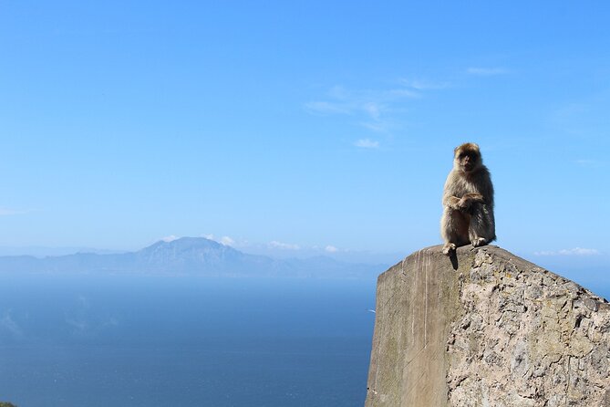 Private Day Tour in Gibraltar and Tangier, Morocco from Malaga - Tarifa and the ferry to Tangier