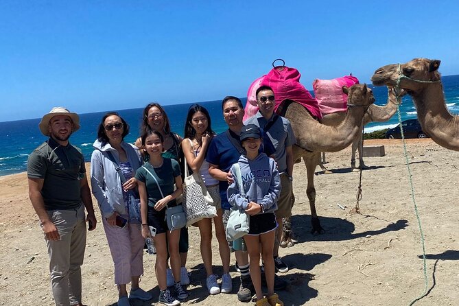 Private Day Tour in Gibraltar and Tangier, Morocco from Malaga - What $830.84 per person really buys