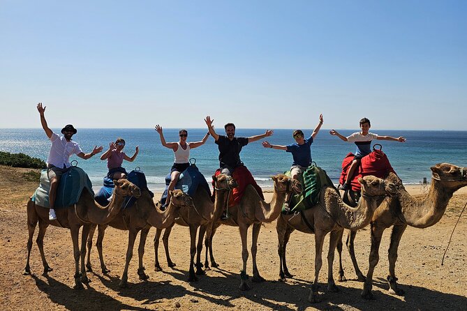 Private Day Tour in Gibraltar and Tangier, Morocco from Malaga - Gibraltar and the Rock: monkeys, sea views, and a tight schedule