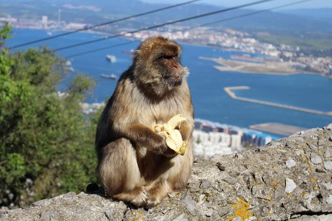 Private Day Trip to Gibraltar from Malaga or Marbella - Two hours on Gibraltar’s Main Street