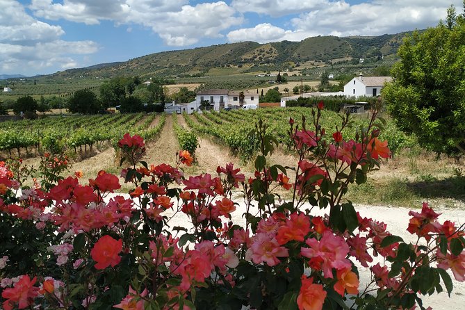 Private Excursion to Ronda from Costa del Sol 7 Hours - Blas Infante and the story behind the town