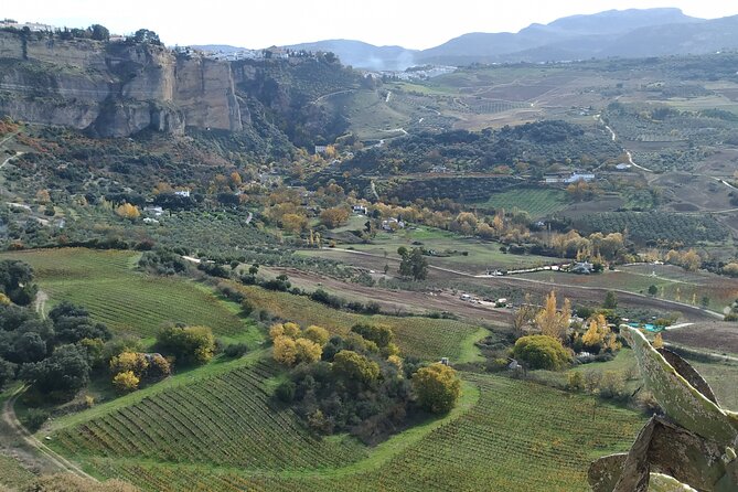 Private Excursion to Ronda from Costa del Sol 7 Hours - Plaza Duquesa de Parcent and old Ronda