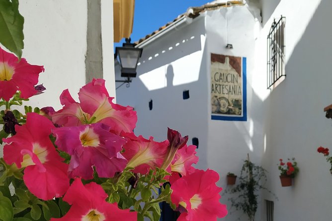 Private Excursion to Ronda from Costa del Sol 7 Hours - Puente Viejo and the Muslim quarter
