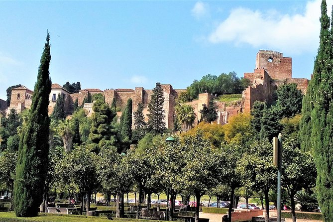 Private full day tour in Malaga from Costa del sol - Free time for lunch and old-town wandering