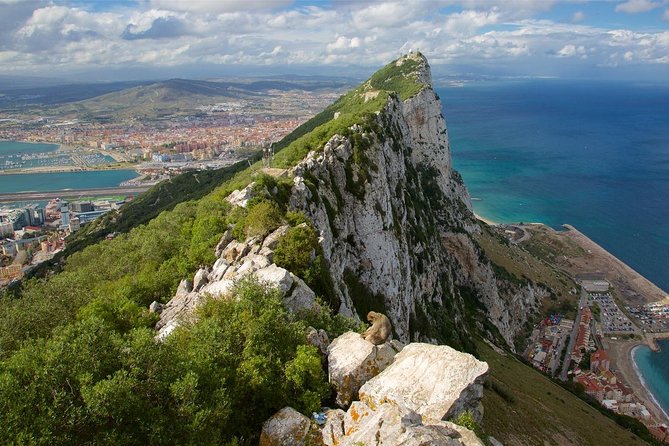 Private Full Day Tour of Gibraltar from Malaga or Marbella - What this Gibraltar day trip really includes