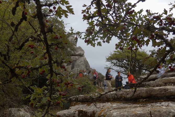 Private Guided Tour to Torcal de Antequera - What a local guide adds to the experience