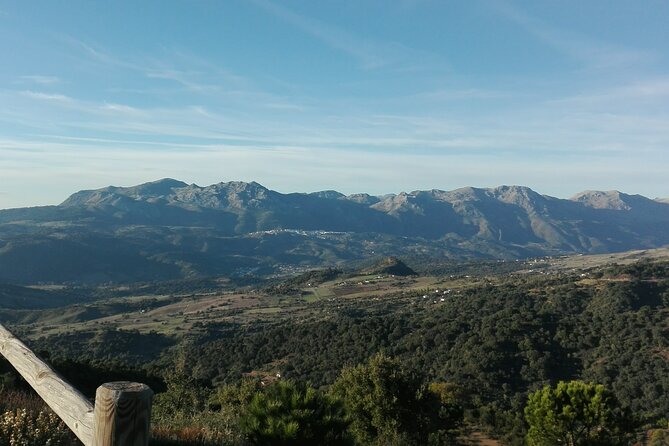 Private half-day tour of Ronda and the White Villages with native - Ronda beyond the postcard view