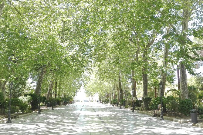 Private half-day tour of Ronda and the White Villages with native - Food that connects the route