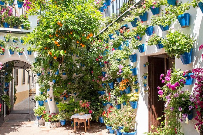 Private Multiday: Cordoba,Granada, Alhambra & Seville from Malaga - Who should book this experience?
