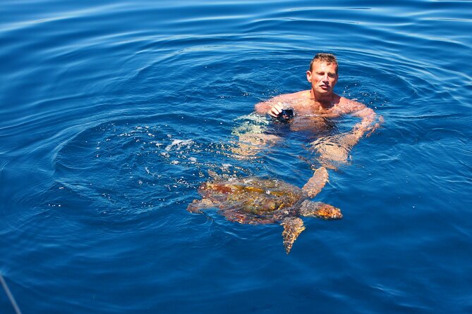 Private Sailing - dolphin Experience Estepona - drink & food - 4h - Swimming, snorkeling, and paddleboarding