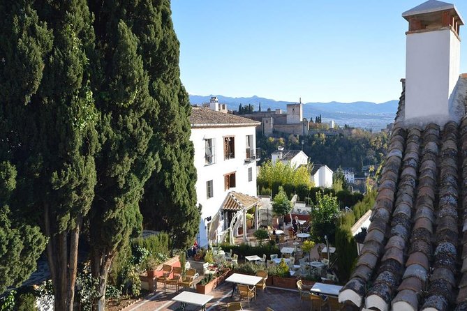 Private tour from Malaga to the Alhambra Palace and Granada - Free time in Granada after the palace